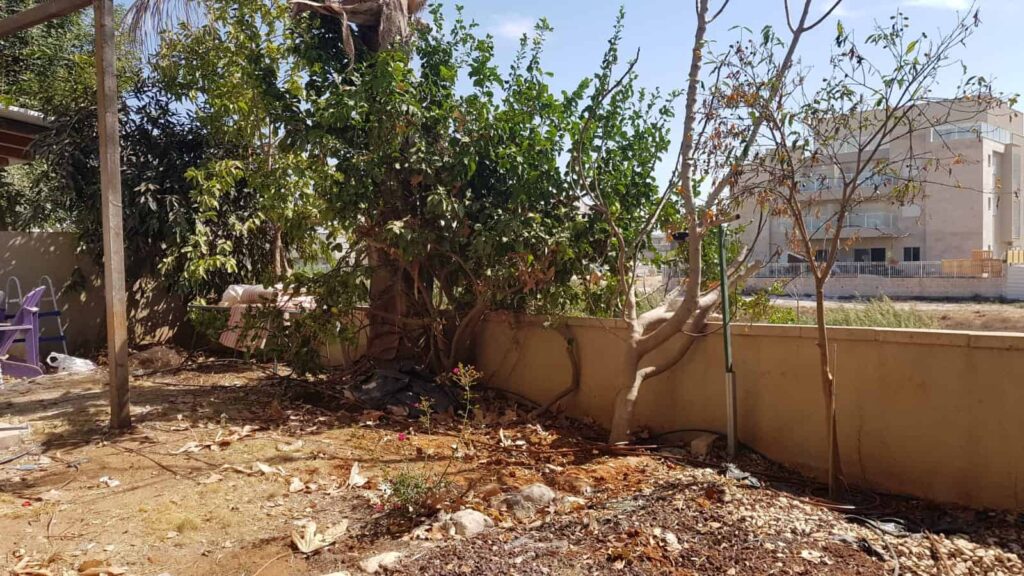 גינה לא מטופחת עם עצים נגד הקיר של הגינה